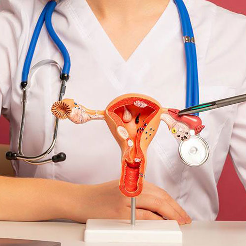 Hysteroscopic Surgeon in Kolkata